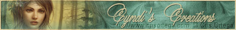 Cyndi's Banner