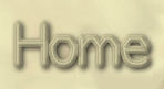 home button